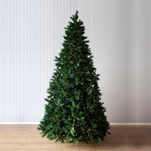 Load image into Gallery viewer, Douglas Fir Green Tree 9.5Ft - 760 Led
