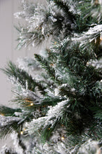 Load image into Gallery viewer, 9.5 Ft Douglas Fir Snow Tree - 760 Led
