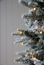 Load image into Gallery viewer, 6 Ft European Fir Snow Tree - 320 Led
