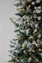 Load image into Gallery viewer, 8 Ft European Fir Snow Tree - 440 Led
